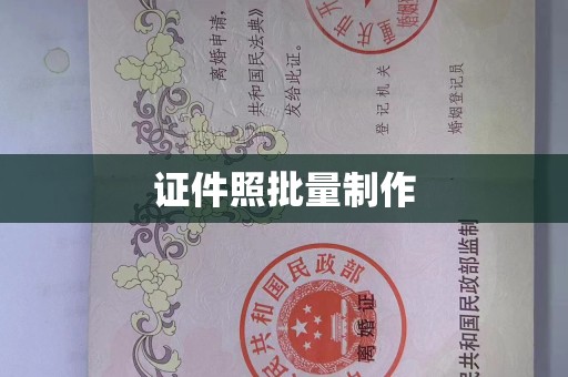 长春证件照批量制作